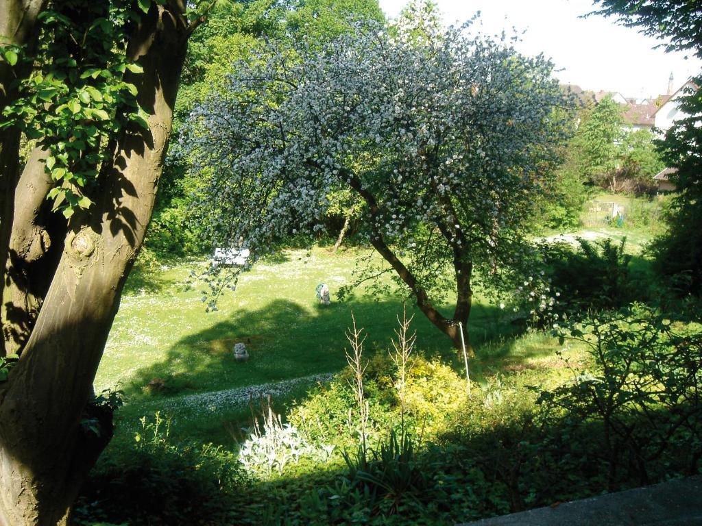 שטראובינג Hotel B&B Bredl In Der Villa Ballestrem חדר תמונה
